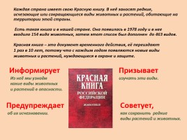 Красная книга Ростовской области - Животные, слайд 3