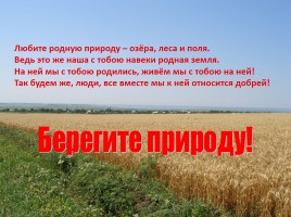 Красная книга Ростовской области - Животные, слайд 31