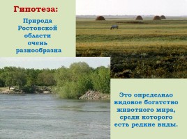 Красная книга Ростовской области - Животные, слайд 7