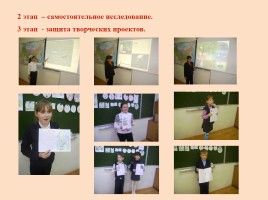 Красная книга Ростовской области - Животные, слайд 9