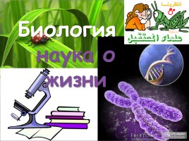 Биология - наука о жизни, слайд 2