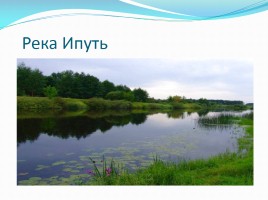 Информационно-исследовательский проект: «Реки Брянской области», слайд 13