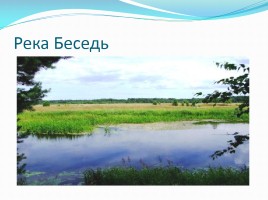 Информационно-исследовательский проект: «Реки Брянской области», слайд 16