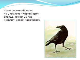 Урок литературного чтения в 3 классе - И.А. Крылов «Ворона и лисица», слайд 16