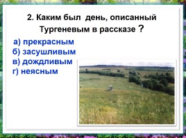 Тест по произведению И.С. Тypгeнeвa «Бежин луг», слайд 3