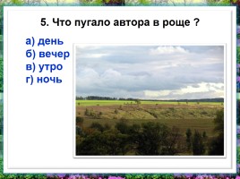 Тест по произведению И.С. Тypгeнeвa «Бежин луг», слайд 6