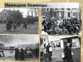 Заселение Калининградской области после войны, слайд 22