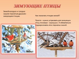 Домашние и дикие птицы, слайд 4