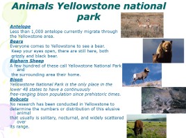 Yellowstone - National parks, слайд 3