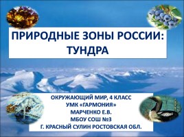 Природные зоны России: Тундра
