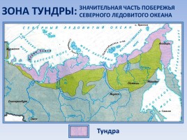 Природные зоны России: Тундра, слайд 3