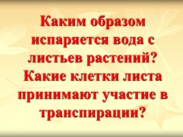 Испарение воды растениями - Листопад, слайд 11