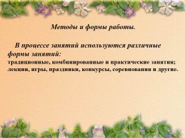 О программе внеурочной деятельности «Умейки» в начальной школе, слайд 10