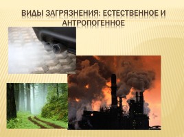 Загрязнение воздуха в Ставрополе и Ставропольском крае и здоровье человека, слайд 5