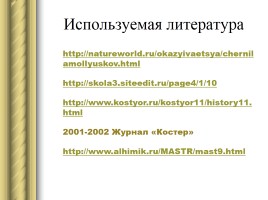 Исследовательская работа «История происхождения чернил», слайд 25