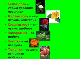 Биологический турнир «Удивительный мир растений», слайд 59
