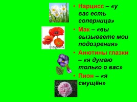 Биологический турнир «Удивительный мир растений», слайд 60