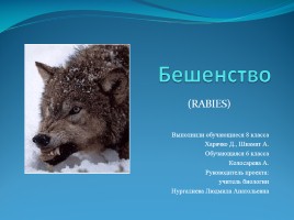 Бешенство - Rabies, слайд 1