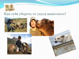 Бешенство - Rabies, слайд 36