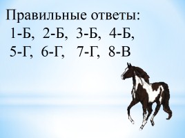 Основные направления эволюционного процесса, слайд 7