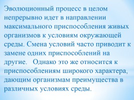 Основные направления эволюционного процесса, слайд 8