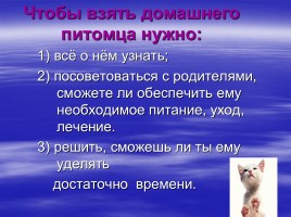 Внеклассное занятие для 2 класса «Кошки - вечные спутники человека», слайд 16