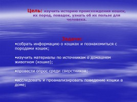 Внеклассное занятие для 2 класса «Кошки - вечные спутники человека», слайд 4