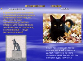 Внеклассное занятие для 2 класса «Кошки - вечные спутники человека», слайд 9