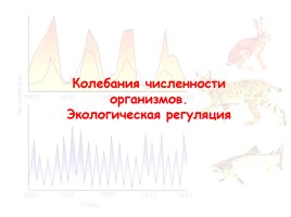 Колебания численности организмов - Экологическая регуляция, слайд 1