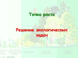 Контрольно-обобщающий урок по теме «Экосистемный уровень», слайд 16