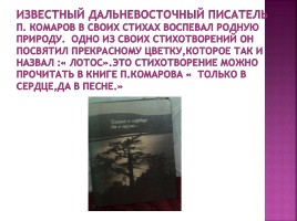 Книжная выставка МБОУ ООШ с. Оремиф к 75-летию образования Хабаровского края посвящена Красной книги Хабаровского края, слайд 6