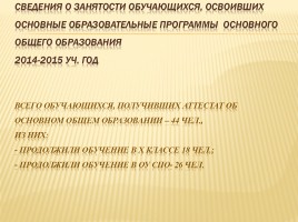 Публичный доклад 2014-2015 уч. год, слайд 86