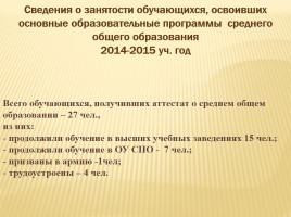 Публичный доклад 2014-2015 уч. год, слайд 87