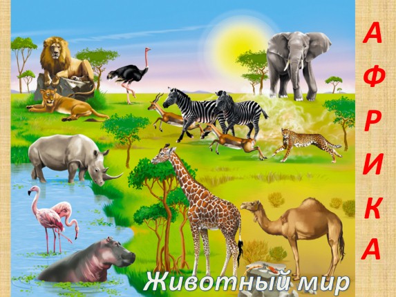Животные африки фото с названиями для детей