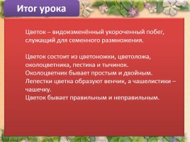 Строение цветка, слайд 29