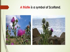 Scotland, слайд 4