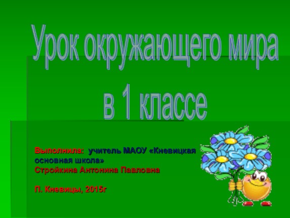 Урок окружающего мира в 1 классе «Мы не будем рвать цветы и ловить бабочек»