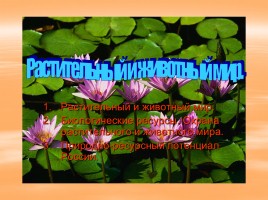 Растительный и животный мир России, слайд 1