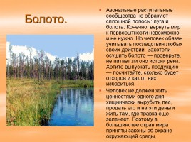Растительный и животный мир России, слайд 14