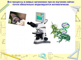 Учебный проект по математике «Математика в жизни человека», слайд 33