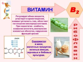 Лекция №6 «Биологически активные вещества», слайд 12