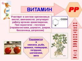Лекция №6 «Биологически активные вещества», слайд 20