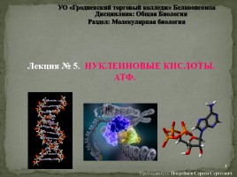 Лекция №5 «Нуклеиновые кислоты - АТФ», слайд 1