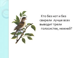 Словарные слова 3 класс «Животные и птицы», слайд 6