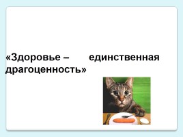 Классный час «Здоровое питание школьника - залог успеха в учебе», слайд 25