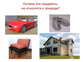 Живая и неживая природа - Растения, слайд 5