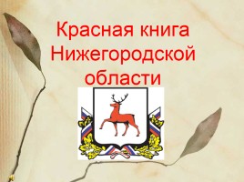 Красная книга Нижегородской области, слайд 1