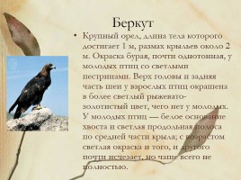 Красная книга Нижегородской области, слайд 15