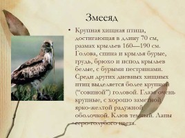 Красная книга Нижегородской области, слайд 16