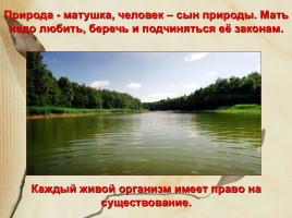Красная книга Нижегородской области, слайд 19